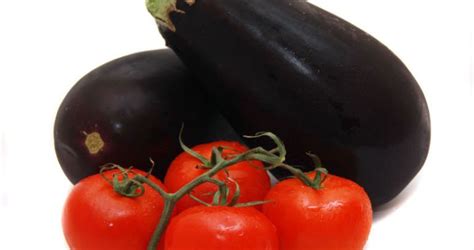 Brinjals And Tomatoes Healthy Living Herbs