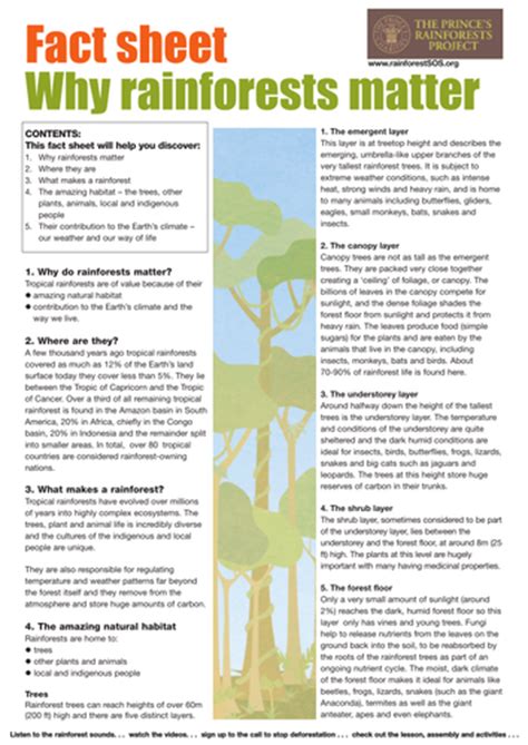 Rainforest Factsheets By Theprincesrainforestproject Teaching