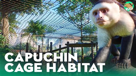 Capuchin Monkey Cage Habitat Planet Zoo Lets Play Franchise Mode