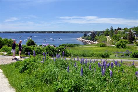 Best Summer Vacation In Maine The O Guide