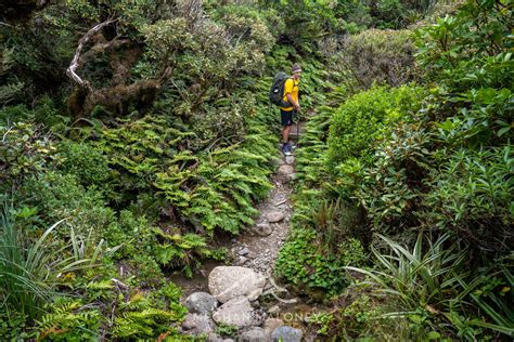 Pouakai Circuit 3 Day Hike Review Taranakis Greatest Walk Nz Hikes