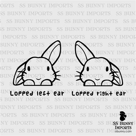 Peeking Cute Half Lop Bunny Vinyl Sticker Rabbit Laptop Decal Etsy
