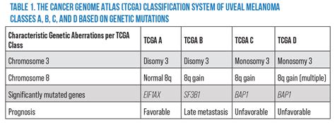 A Classification System For Uveal Melanoma