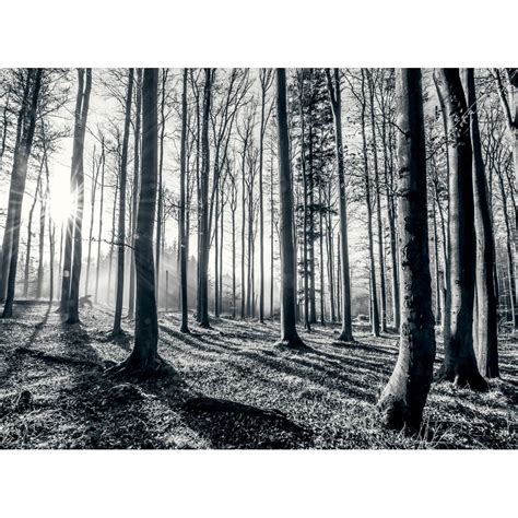Black And White Forest Trees Mural Wallpaper 315cm X