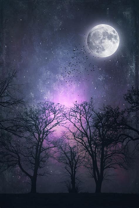 Full Moon Night Magic Photograph By Dirk Wuestenhagen