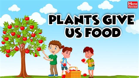 Plants Give Us Food Class Science CBSE Board NCERT Home