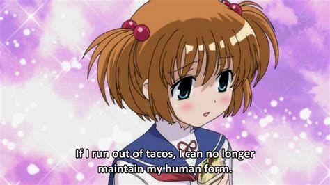 Thought i'd find some more. Best tacos in London: A taco for every kind of taco eater ...