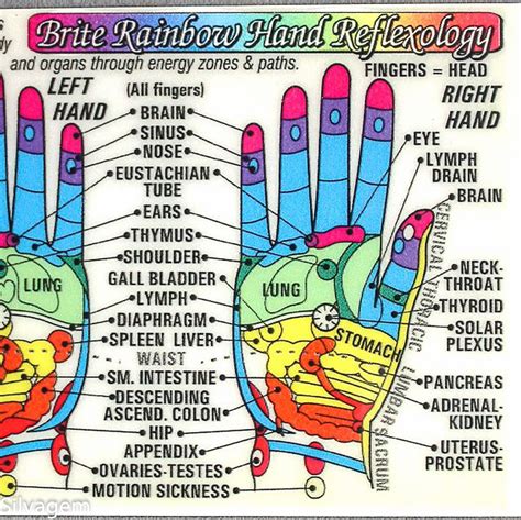 Reflexology Hand And Foot Chart New X 11 Ubicaciondepersonascdmxgobmx