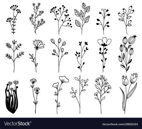 Hand Drawn Design Elements Flowers Branches Vector Image