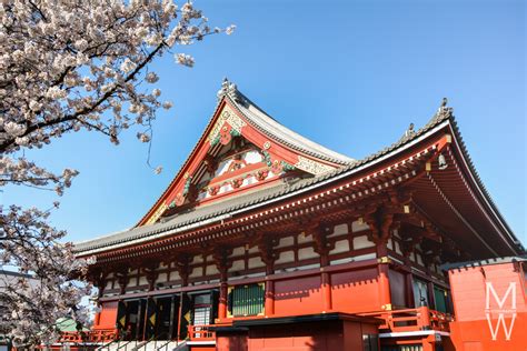 Ich gebe dir nützlich tipps zur reise und den besten sensoji tempel. Japan Reiseführer: Top Sehenswürdigkeiten und Highlights ...