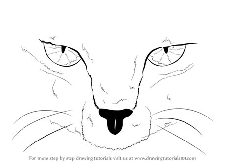 Step By Step How To Draw Scary Cat Eyes