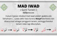 Mau tahu arti dari semua kartu tarot? Mad Arid Lissukun: Arti, Hukum Bacaan, Cara Membaca dan Contohnya