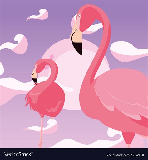 Flamingos Exotic Birds Royalty Free Vector Image