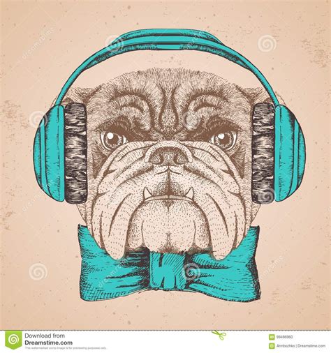 Hipster Animal Bulldog Hand Drawing Muzzle Of Animal Dog Stock Vector