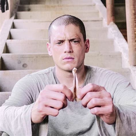 He rose to prominence following his starring role as michael scofield in the fox series prison break. 848 curtidas, 7 comentários - Wentworth Miller ...