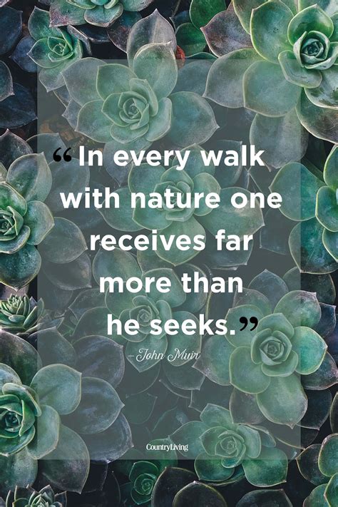45 Beautiful Quotes About The Power Of Nature Nature Quotes Nature