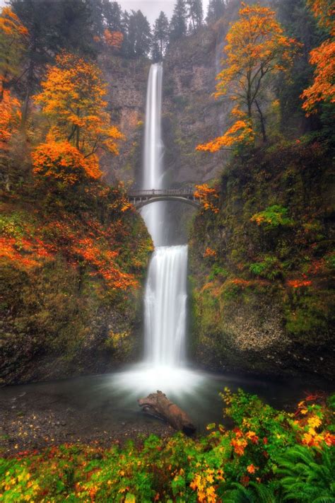 Multnomah Falls With Autumn Colors Leaves Turn Brown And