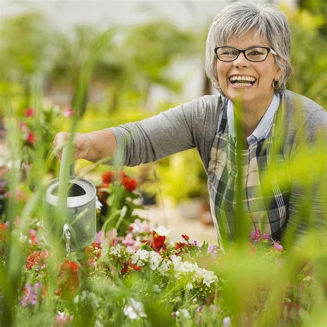 Gardening Tips For Seniors In Care Homes Care At Home Services