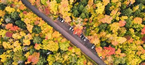 Best Fall Foliage Drives In Michigan Scenic Road Trip Fall Foliage
