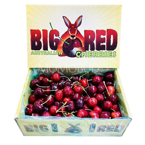 Australian Big Red Glen Red Cherry T Box 2kg — Momobud