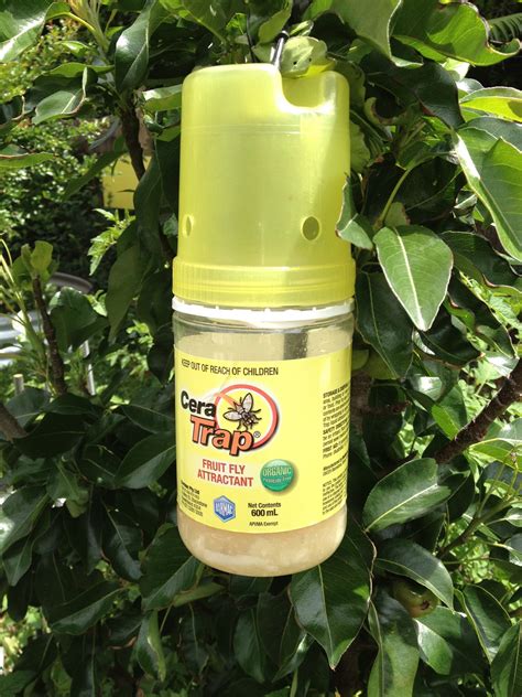 Insecticide Cera Fruit Fly Trap 600ml Dawsons Garden World