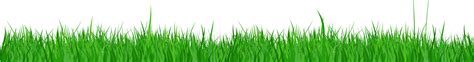 Grass Clipart Png Format Grass Png Format Transparent Free For