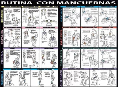 Tenemos las rutinas de ejercicios perfectas con mancuernas para no perder ni un ápice de nuestra forma física entrenando desde el salón de casa. Insertado | Entrenamiento con mancuernas, Entrenamiento ...