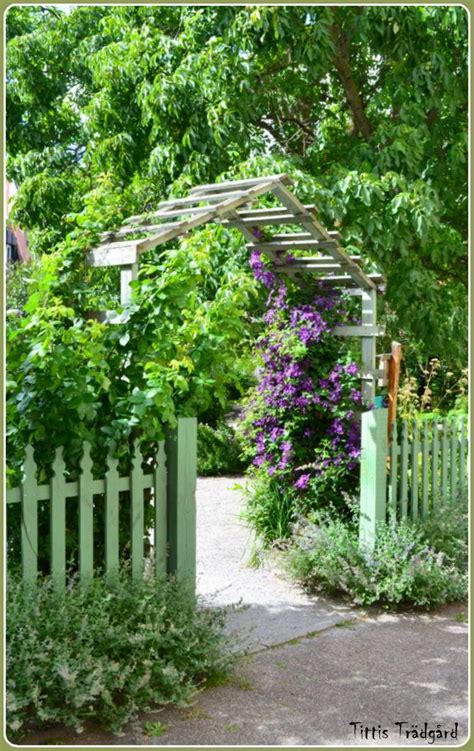 This post contains affiliate links for your convenience. Clematis, trellis | Klematis, Spaljé, Trädgårdsgrind