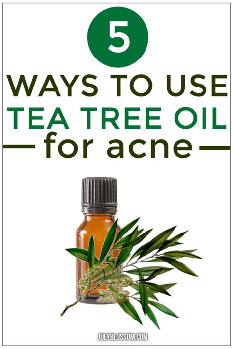 How To Use Tea Tree Oil For Acne 5 Amazing Ways ♡ July Blossom