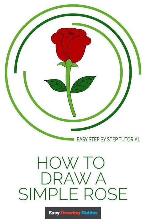 How do you draw flowers step by step? How to Draw a Simple Rose | Together Unplugged | Easy ...