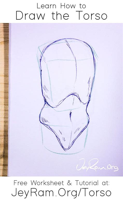 How To Draw The Torso Step By Step Tutorial Artofit