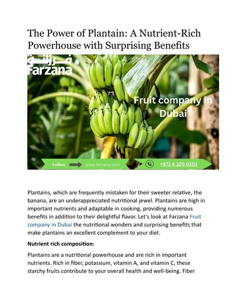 Ppt The Power Of Plantain A Nutrient Rich Powerhouse With Surprising