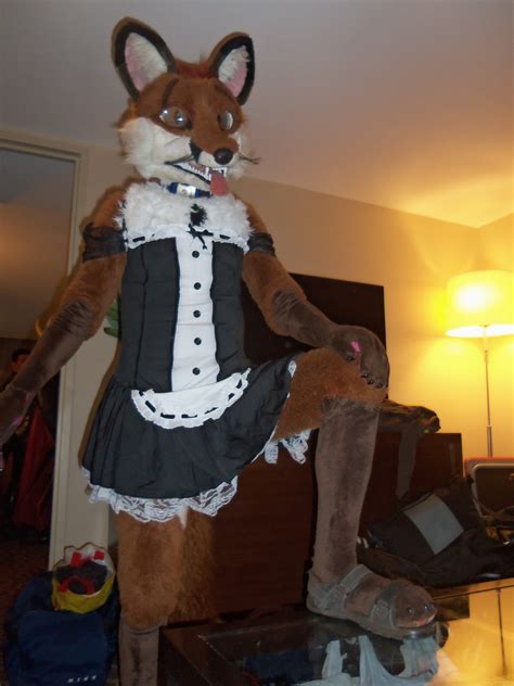 Red Fox In A Black Maids Dress For A Lark Maid Dress Fursuit Red Fox Maids Funny Stuff