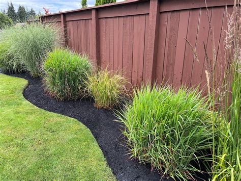 How To Make Ornamental Grasses Stand Out — Ornamental Grasses