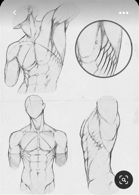 Pin By Santanu Das On Man Male Art Reference Anatomy Art Human