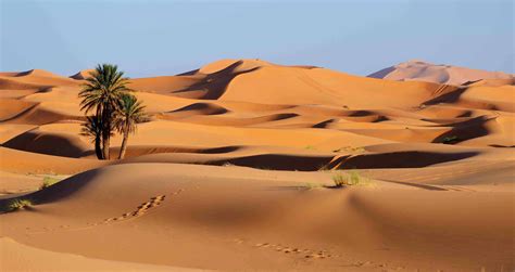Sahara Desert Oasis Facts