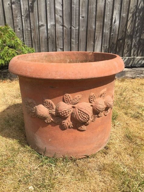 Used Large Terracotta Plant Pot In Witney Oxfordshire Gumtree