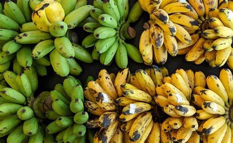 Top 12 Tropical Fruits To Eat When In Thailand