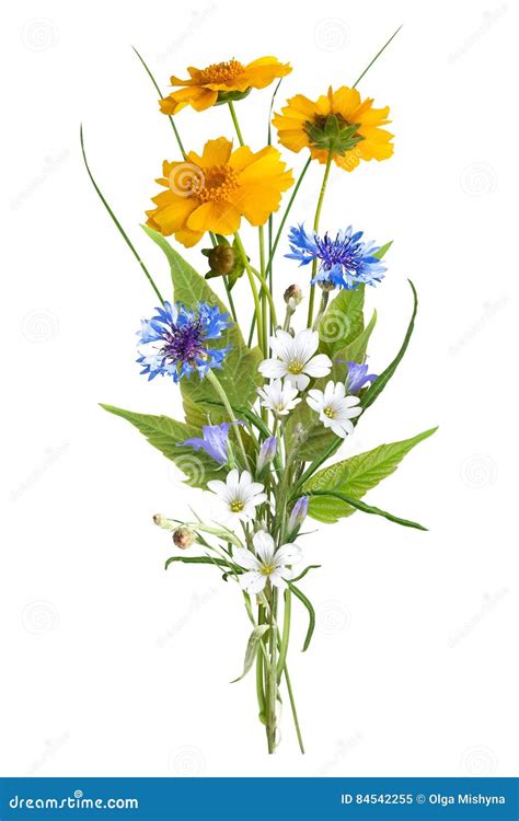 Bouquet Of The Field Wild Flowers Easter Colors Isolated Stock Image