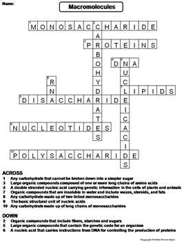 Sorry, but we couldn't find any words with the letters you entered. Macromolecules Worksheet/ Crossword Puzzle by Science Spot ...