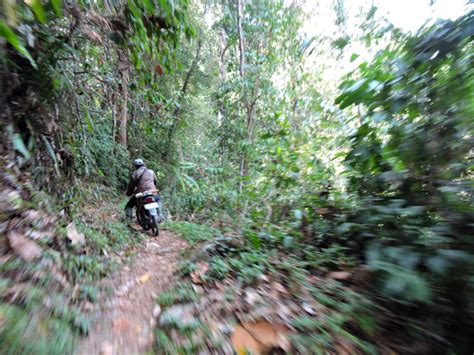Hutan desa setianegara merupakan spot yang tepat buat kamu yang ingin. Kisah Masewo, Desa Tanpa Perhatian Negara di Jantung Hutan Sulawesi : Mongabay.co.id