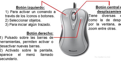 Iniciación A La Informática Principios Básicos El Ratón O Mouse