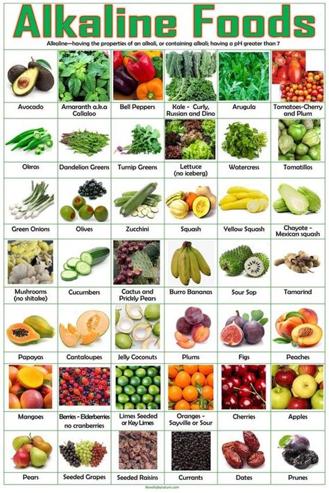 Alkaline Foods Poster Etsy Alkaline Foods Alkaline Fruits Alkaline Foods List