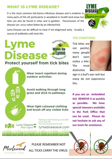 Lyme Disease Awareness Merlewood Country Park