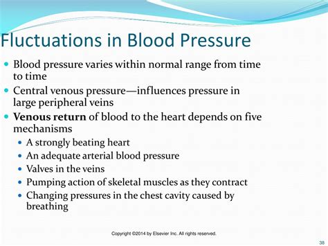 Ppt Chapter 15 The Circulation Of The Blood Powerpoint Presentation