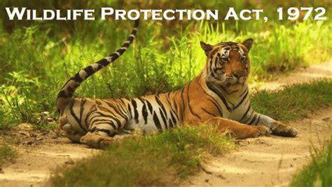 Wildlife Protection Act 1972 Ipleaders