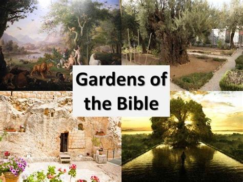 Gardens Of The Bible