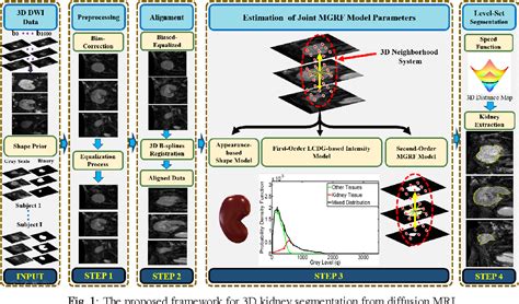 Figure 1 From A Level Set Based Framework For 3d Kidney Segmentation