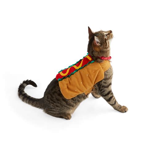Hot Dog Dog Costume Hot Dog Costume For Dogs Petco