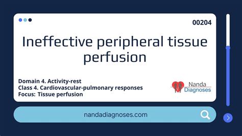 Ncp Ineffective Tissue Perfusion Pdf Heart Cardiovasc